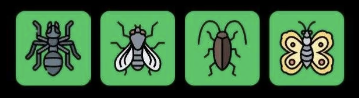 Screenshot 2026-04-09 at 111009 AM FLIES Daily Combo 9 April 2026