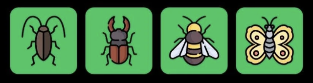 FLIES Daily Combo 18 April 2026