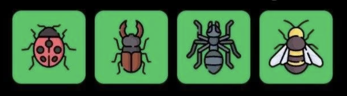 FLIES Daily Combo 25 April 2026