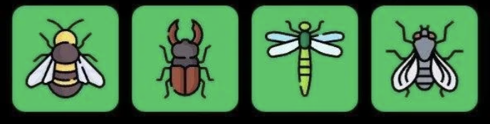 FLIES Daily Combo 26 April 2026