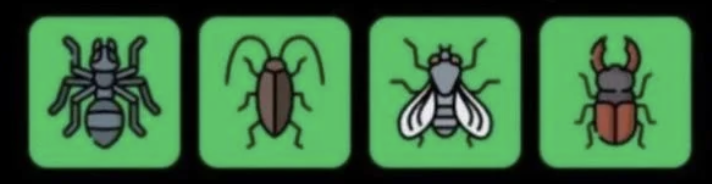 FLIES Daily Combo 30 April 2026