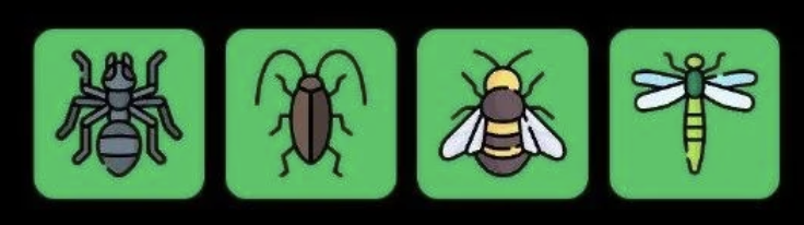 FLIES Daily Combo 1 May 2026
