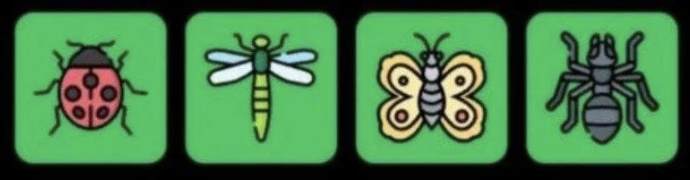 FLIES Daily Combo 3 May 2026