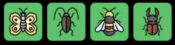 FLIES Daily Combo 5 May 2026