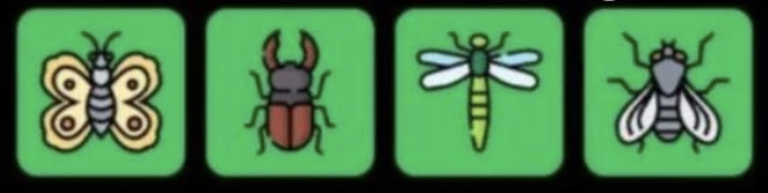 FLIES Daily Combo 6 May 2026