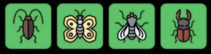 FLIES Daily Combo 8 May 2026