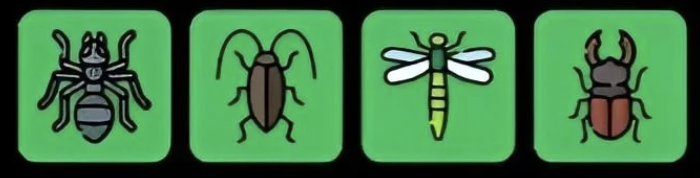 FLIES Daily Combo 13 May 2026