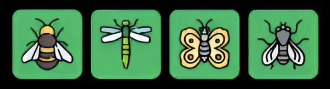 FLIES Daily Combo 15 May 2026
