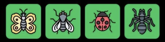 FLIES Daily Combo 16 May 2026