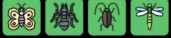 FLIES Daily Combo 17 May 2026