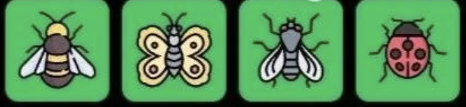 Screenshot 2026-05-18 at 111422 AM FLIES Daily Combo 18 May 2026
