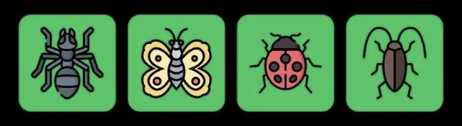 Screenshot 2026-05-21 at 110302 AM FLIES Daily Combo 21 May 2026