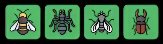 Screenshot 2026-05-23 at 112904 AM FLIES Daily Combo 23 May 2026