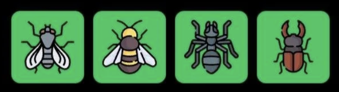 FLIES Daily Combo 27 May 2026