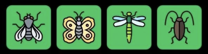 FLIES Daily Combo 1 June 2026
