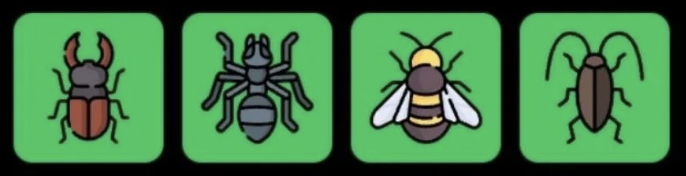 FLIES Daily Combo 3 June 2026