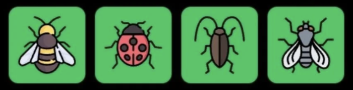 FLIES Daily Combo 5 June 2026