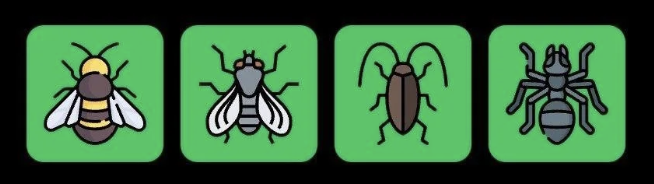 Screenshot 2026-06-07 at 112359 AM FLIES Daily Combo 7 June 2026