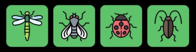 Screenshot 2026-07-14 at 112750 AM FLIES Daily Combo 14 July 2026