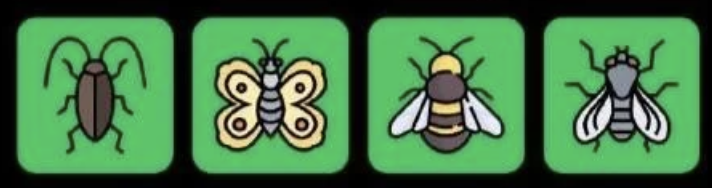 FLIES Daily Combo 17 July 2026