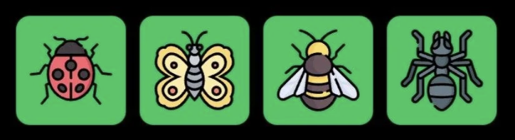 FLIES Daily Combo 29 July 2026