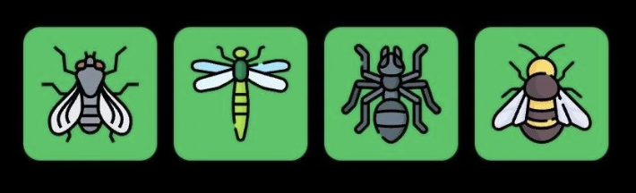 FLIES Daily Combo 3 August 2026