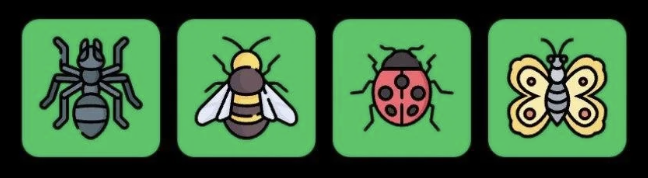 FLIES Daily Combo 4 August 2026