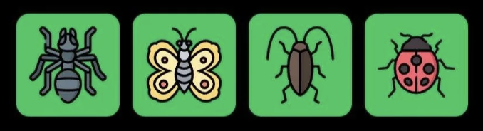Screenshot 2026-08-06 at 114926 AM FLIES Daily Combo 6 August 2026