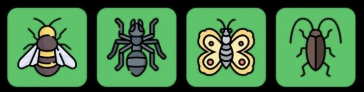 FLIES Daily Combo 9 August 2026