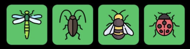 Screenshot 2026-08-11 at 110227 AM FLIES Daily Combo 11 August 2026