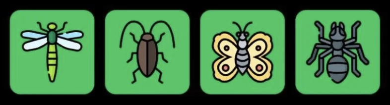 FLIES Daily Combo 12 August 2026