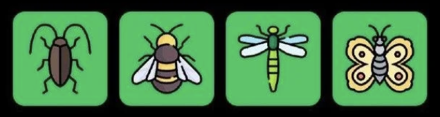 FLIES Daily Combo 14 August 2026