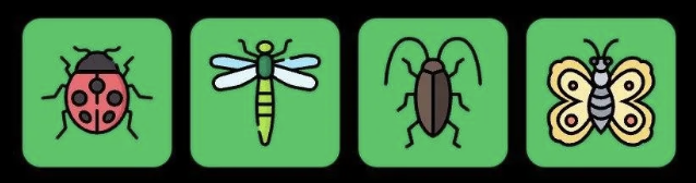 FLIES Daily Combo 16 August 2026