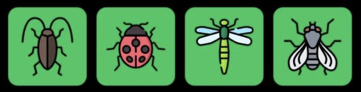 Screenshot 2026-08-17 at 23827 PM FLIES Daily Combo 18 August 2026