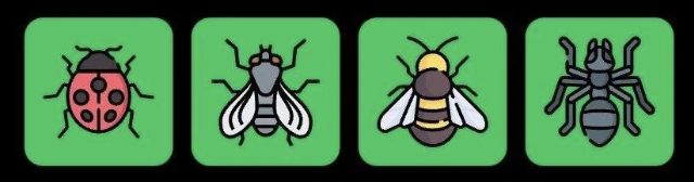 FLIES Daily Combo 19 August 2026