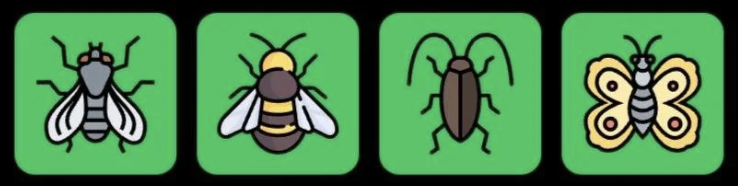 Screenshot 2026-08-20 at 113141 AM FLIES Daily Combo 20 August 2026