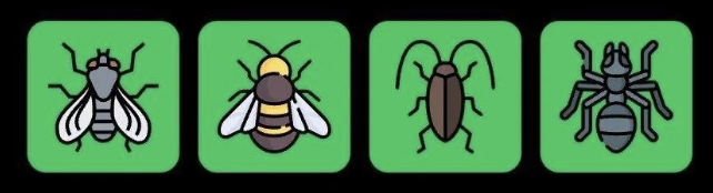 FLIES Daily Combo 23 August 2026