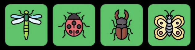 Screenshot 2026-08-24 at 111217 AM FLIES Daily Combo 24 August 2026