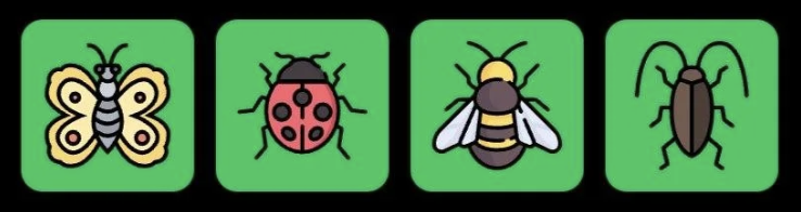 Screenshot 2026-08-26 at 62525 PM FLIES Daily Combo 26 August 2026
