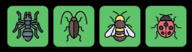 Screenshot 2026-08-29 at 25510 PM FLIES Daily Combo 29 August 2026