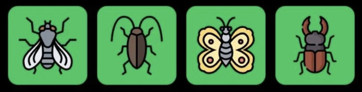 Screenshot 2026-08-30 at 84618 PM FLIES Daily Combo 31 August 2026