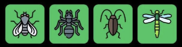 FLIES Daily Combo 2 September 2026