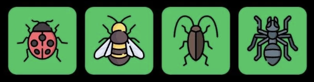 FLIES Daily Combo 2 October 2026