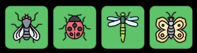 Screenshot 2026-10-03 at 82232 PM FLIES Daily Combo 4 October 2026