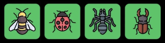 FLIES Daily Combo 5 October 2026