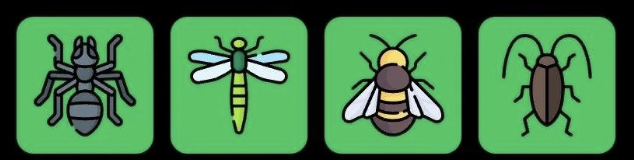 FLIES Daily Combo 9 October 2026