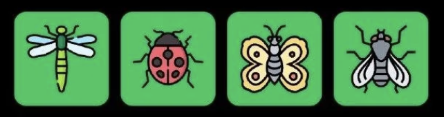 FLIES Daily Combo 28 October 2026