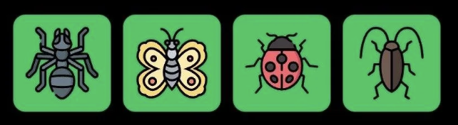 FLIES Daily Combo 29 October 2026